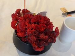 -大鸭梨烤鸭(北洼路店)