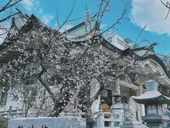 -难波八坂神社