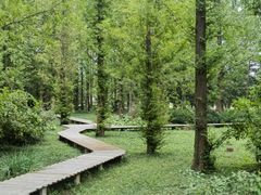 -国家植物园南园