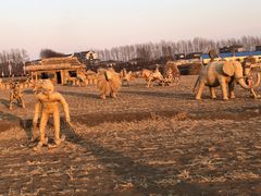 -陆地游轮吉林神农温泉
