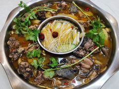 黑河坝乌鸡-黑河坝泡姜鸡贡椒鱼(贾旗路店)