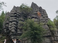 -梭布垭石林景区