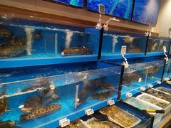 -七鲜超市(瑞虹天地太阳宫店)