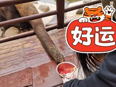 -北京野生动物园