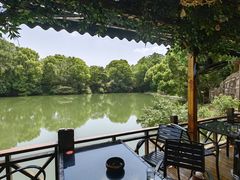 -张鸟园农家乐(张鸟园店)