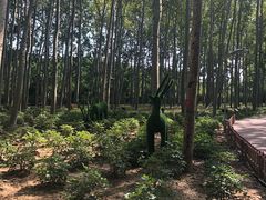 -仁和公园(顺义区)