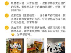 -成都大熊猫繁育研究基地