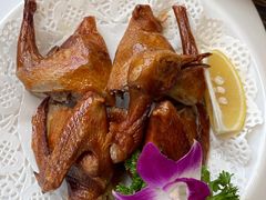 鸽子-新海利(北岭店)