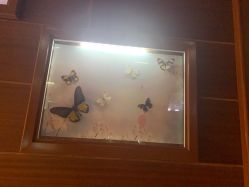 -酷嗒动物文化乐园(cutezoo西溪乐天城店)