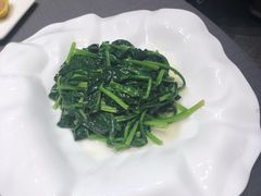 清炒菠菜-望乡楼上海菜(日月光店)