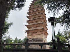 -洛阳白马寺