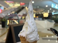 -野人先生Gelato(上海长宁龙之梦店)
