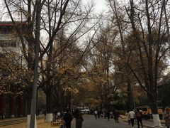 -四川大学(华西校区)