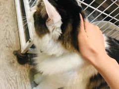 -小时光咖啡馆(北锣鼓巷店)