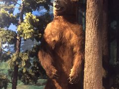 -陕西自然博物馆