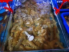 -必点海鲜·鲅鱼水饺(鞍山西道店)
