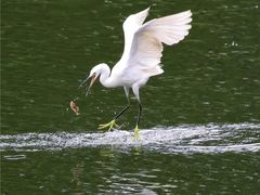 -重庆彩云湖湿地公园
