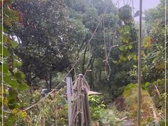 -谷咖啡·鲜花绿植花园餐厅