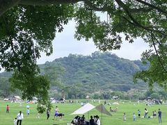 -风云岭森林公园