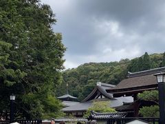 -西芳寺(苔寺)