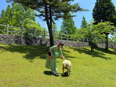 -神户市立六甲山牧场