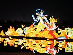 -武汉园博园(武汉自然博物馆)