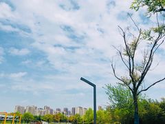 -白塘生态植物园