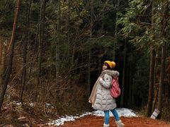 -武陵山森林公园