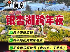 -南京银杏湖乐园