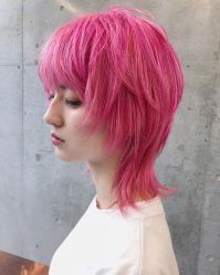 -SALON V