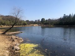 -长广溪湿地公园