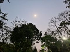 -广州市白云山风景名胜区