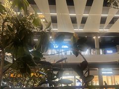 -SHAN山(前滩太古里店)