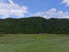 -腾冲北海湿地