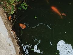-湖洞水自然风景区