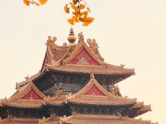 -故宫博物院(故宫)