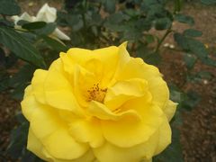 -人民公园(罗湖区)