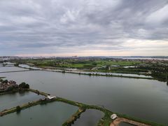 -瑶湖郊野森林公园