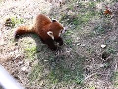 -宁波野生动物园