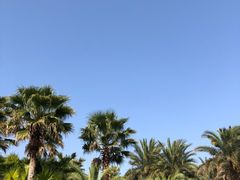 -瑶湖郊野森林公园