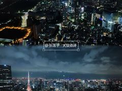 -六本木新城展望台(东京城市景观)