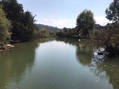 -黑龙潭公园