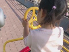 -野狸岛