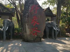-野象谷景区