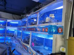 水产区-黄记大闸蟹专卖店·活蟹·醉蟹