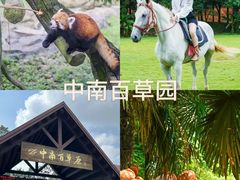 -将军关探险漂流