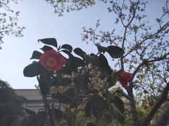 -中国钧瓷文化园