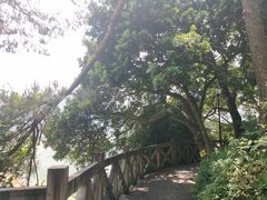 -广州市流溪河国家森林公园