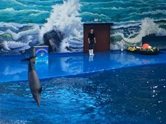 -多彩贵州城极地海洋世界