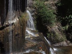 -鼎湖山风景区